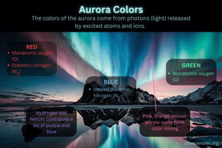 A Comprehensive Guide to Aurora Aksnes' Partner: Insights and More