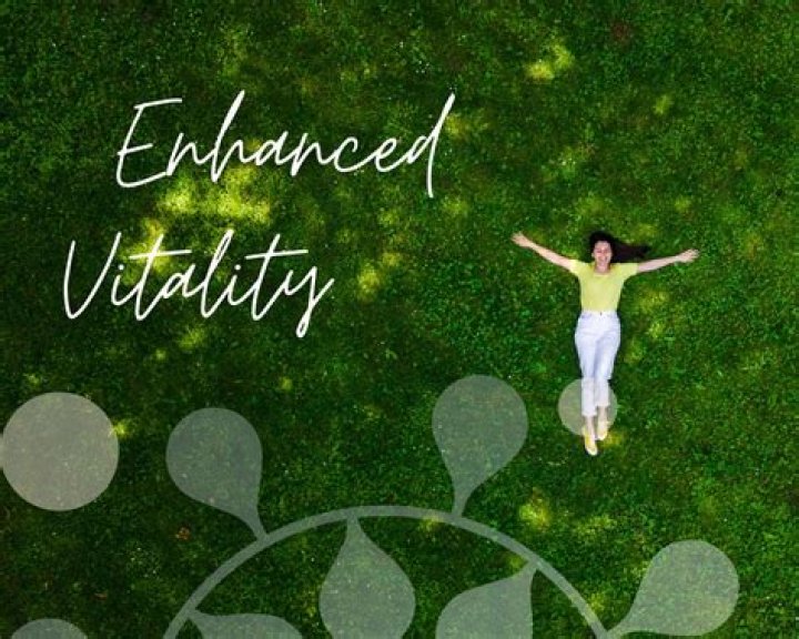 A Guide To Enhanced Vitality