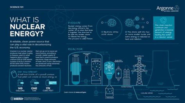 A Pioneer In Nuclear Science
