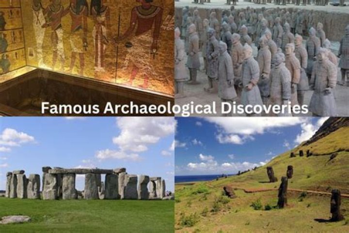 Discoveries And Insights From "jasminesherni"