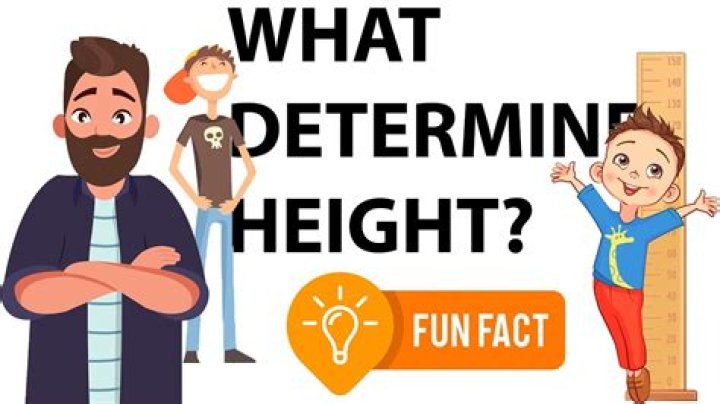 Exploring Height, Weight, Age, Relationships, And Family