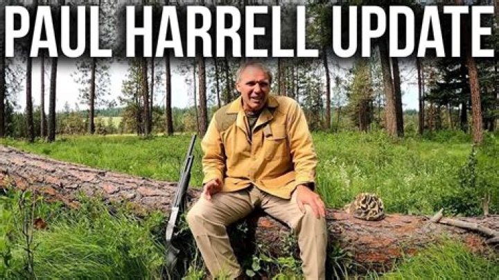 Exploring Paul Harrell's Age And Expertise