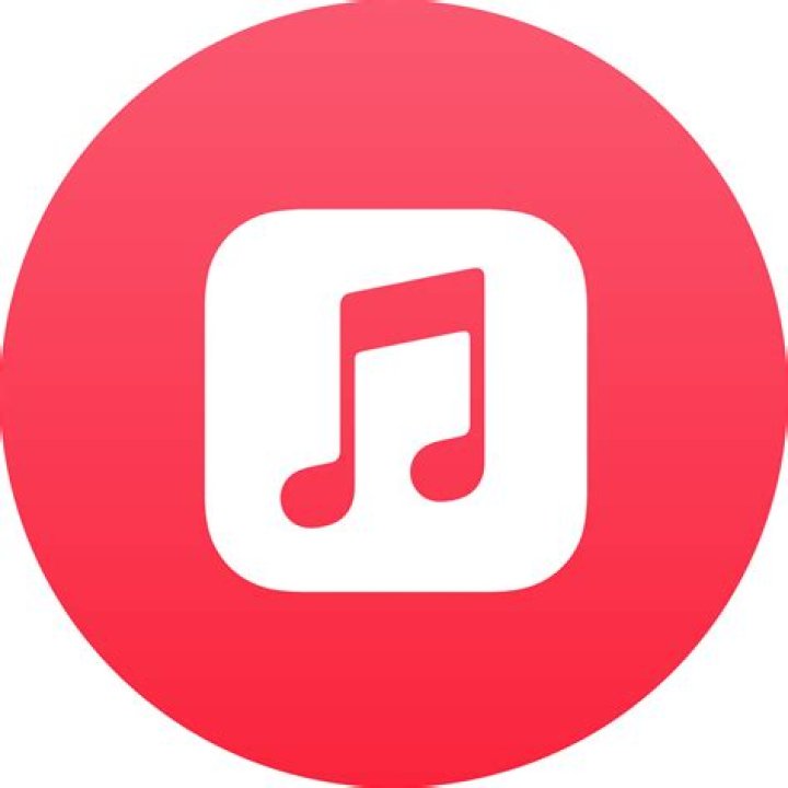 Exploring The Fortune Behind The Music Icon