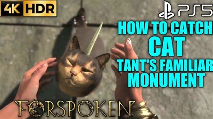 Forspoken: How to Catch Tantas Familiar Cat