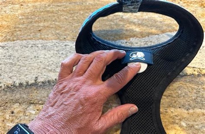 GPS Puppy Collar: A Comprehensive Guide to Keeping Your Furry Friend Safe