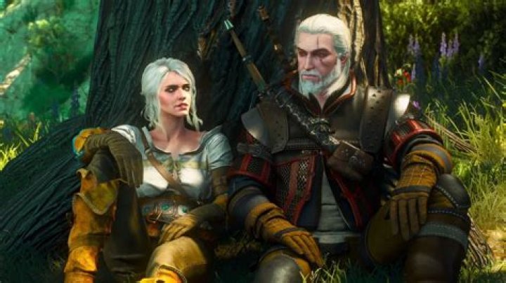 Imperial Audience, Witcher 3: Wild Hunt Quest