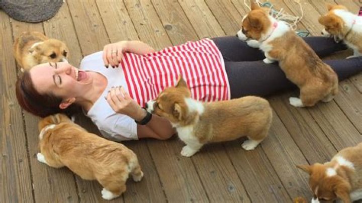 Jaide Slut Puppy: The Ultimate Guide to Understanding the Phenomenon