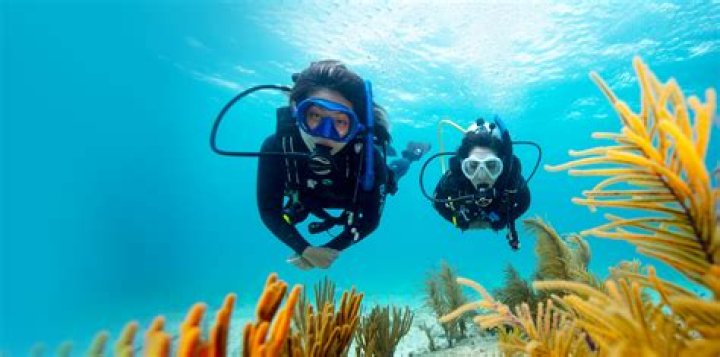 Scuba Diving Into The Scuba Steph OnlyFans Leak: Uncovering The Truth
