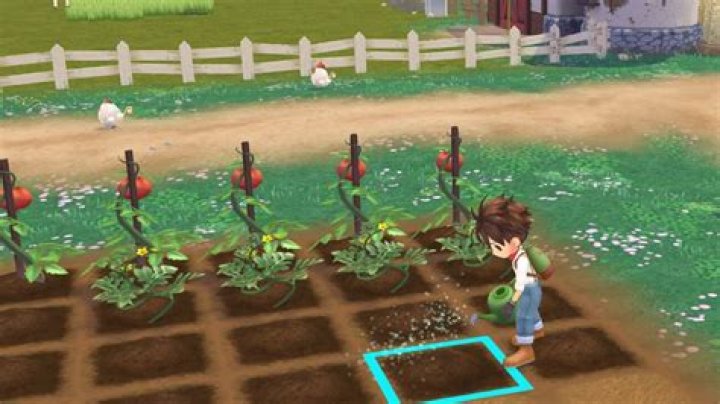Story of Seasons: A Wonderful Life Best Crop Hybrids