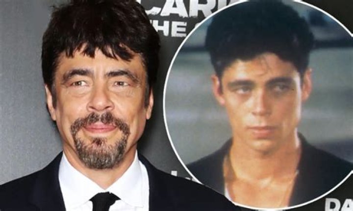 Understanding Benicio Del Toro's Wife: A Comprehensive Insight