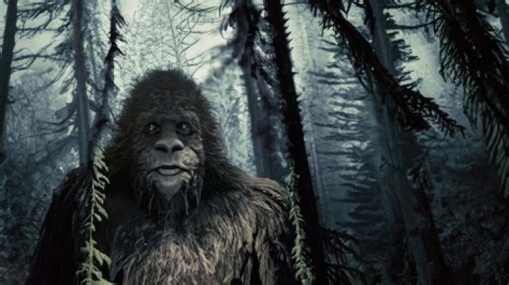 Unraveling Bigfoot Mysteries With Age And Experience