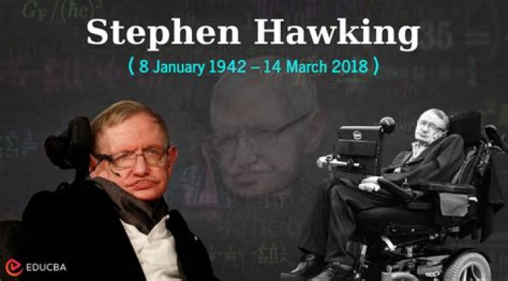 Unraveling The Complexities Of The Stephen Hawking Affair: Discoveries And Insights Revealed
