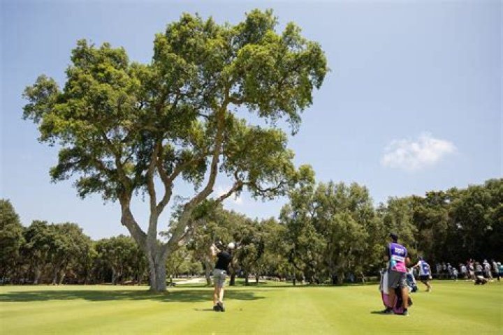 Unveiling Emily Kuchar's Secrets To Golfing Greatness