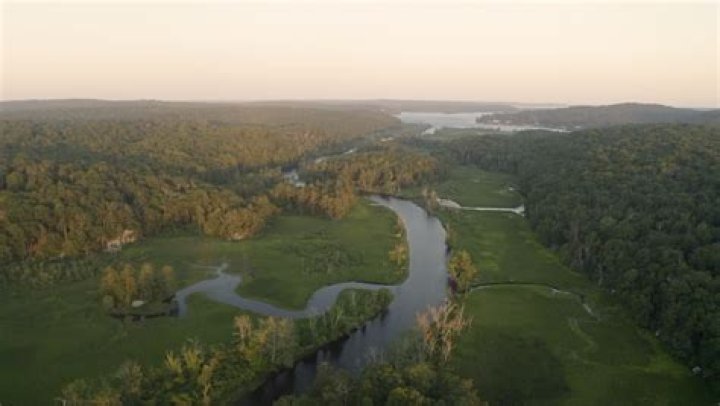 Unveiling The Life And Success Of Tyler Selden: A Comprehensive Exploration