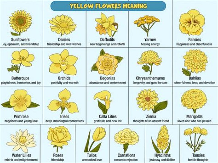 Unveiling The Meaning Of Yellow Flowers In September: Symbolism And Significance